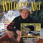 Wildlife Art Magazine