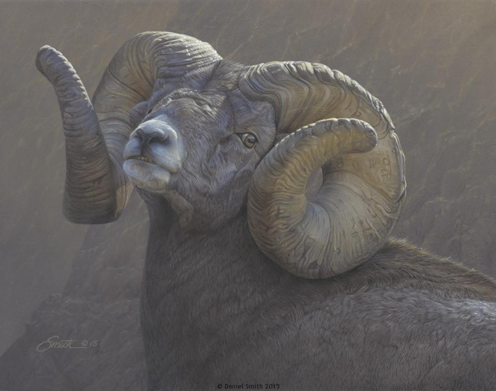 ram tough daniel smith wildlife h size