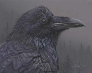 Stark Raven