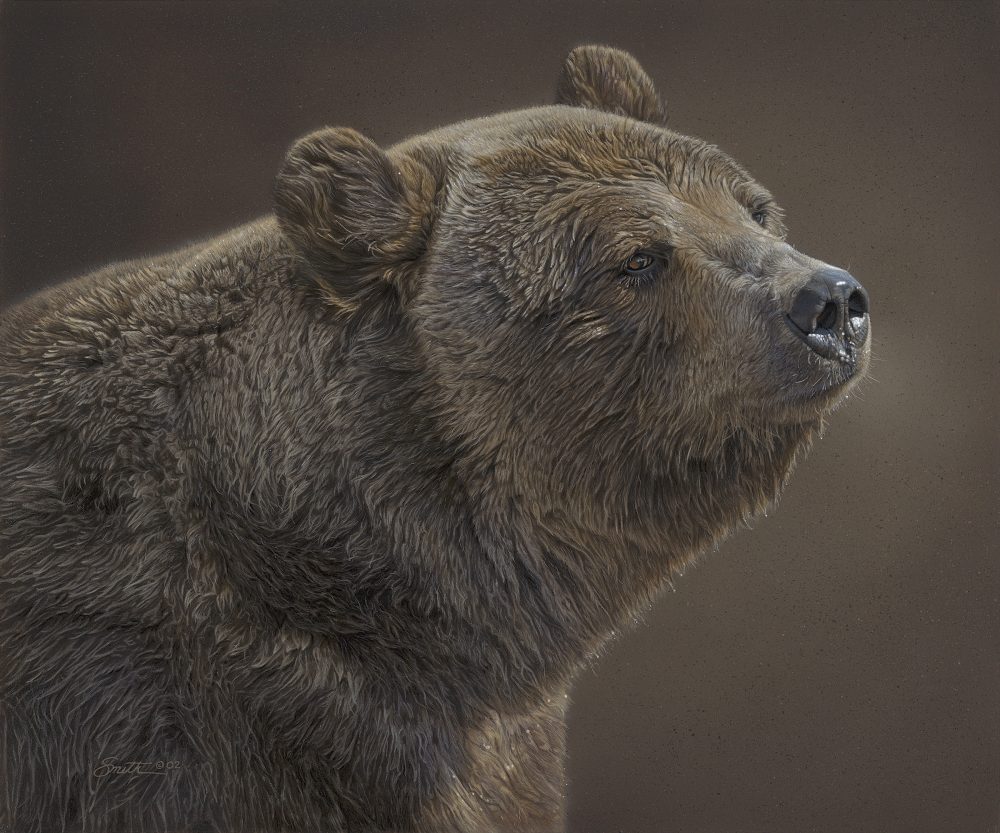 Original Paintings By Daniel Smith Wildlife Artist Daniel Smith Wildlife original-paintings-by-daniel-smith-wildlife-artist-daniel-smith-wildlife