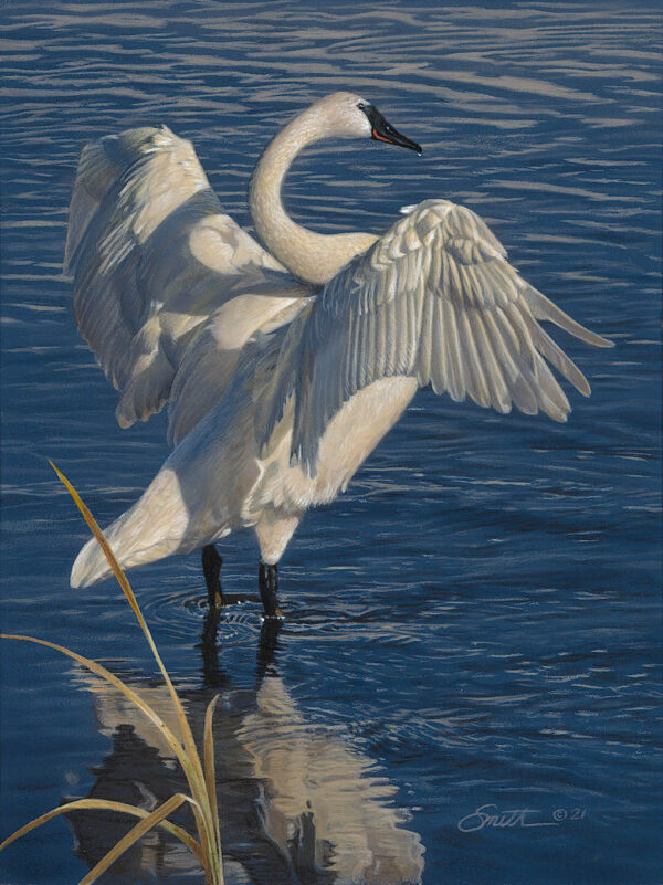 Graceful Display