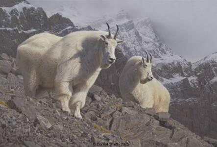 High Spirits High Spirits