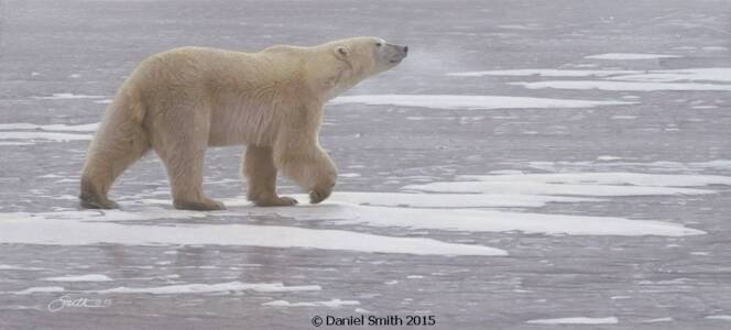 Frozen Footfall Frozen Footfall