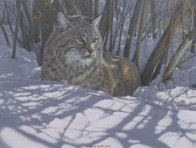 Settled In Settled In