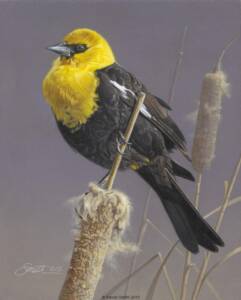 Splash of Yellow Splash of Yellow