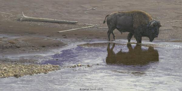 Summer Sanctuary Summer Sanctuary