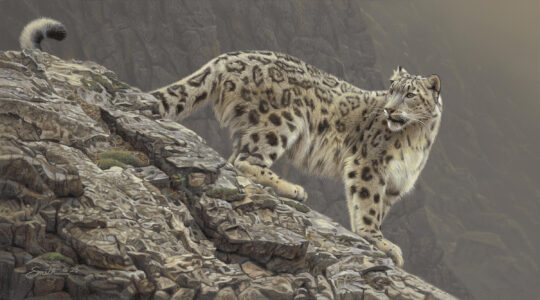 Alpine Apparition
